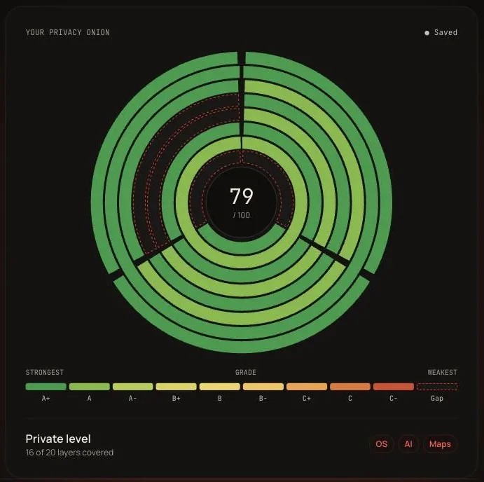 Privacy Onion scoring 79 out of 100 across twenty privacy layers